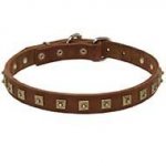 Handmade Leather Siberian Husky Collar with Brass Studs Made in Caterpillar Style