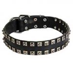 Tremendous Studded Leather Siberian Husky Collar for Walking and Training