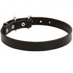 Exclusive Leather Siberian Husky Collar for Dog Walking