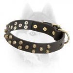 Decorated leather Siberian Husky collar with symmetrical brass pyramids