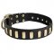 Extraordinary Leather Siberian Husky Collar with Special Plates