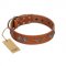 "Splendid Armor" Premium Quality FDT Artisan Tan Designer Siberian Husky Collar with Shields and Stars