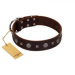 "Pure Sensation" Exclusive FDT Artisan Brown Leather Siberian Husky Collar with Fancy Brooches and Studs