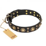 'Baroque Chic' FDT Artisan Studded Black Leather Siberian Husky Collar