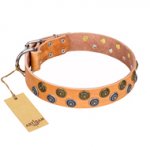"Precious Sparkle" FDT Artisan Tan Leather Siberian Husky Collar with Vintage Decorations