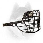 Winter wire basket muzzle for Siberian Husky