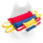 French Linen Siberian Husky training set