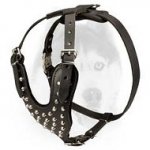 Stylish Studded Leather Dog Harness for Siberian Husky
