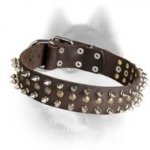 Unbelievable Leather Collar for Siberian Husky