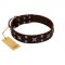 "Bigwig Woof" FDT Artisan Brown Leather Siberian Husky Collar with Chrome Plated Stars and Square Studs