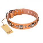 "Glamour Finery" FDT Artisan Female Siberian Husky collar of natural leather with stylish old-looking circles