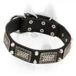 Gorgeous Leather Siberian Husky Collar with Nickel Plates and Pyramids