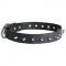 Incredible Leather Spiked Siberian Husky Collar
