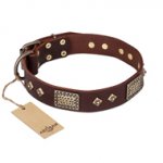 "Loving Owner" FDT Artisan Decorated Leather Siberian Husky Collar with Plates and Studs