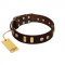 "Lord of Dogs" FDT Artisan Brown Leather Siberian Husky Collar with Old Bronze-like Dotted Studs and Tiles