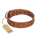 "Enchanted Skulls" FDT Artisan Tan Leather Siberian Husky Collar with Chrome Plated Skulls