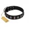 "Silver Spikes" Exclusive FDT Artisan Black Leather Siberian Husky Collar