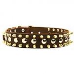 Exclusive Leather Siberian Husky Collar with Spikes and Studs