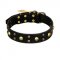 FDT Artisan 'Heavy Metal' Leather Siberian Husky Collar with Skulls and Studs 1 1/2 inch (40 mm)