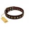 "Street Fashion" FDT Artisan Brown Leather Siberian Husky Collar Adorned with Circles and Skulls