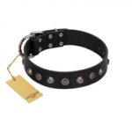 "Black Knight" Handmade FDT Artisan Black Leather Siberian Husky Collar with Silver-Like Studs