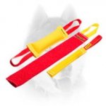 Puppy Training Set for Fun Training