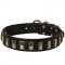 Splendid Leather Siberian Husky Collar with Nickel Plates