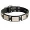 Exclusive Leather Siberian Husky Collar with Nickel Plates and Pyramids