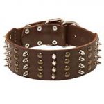 Extra Wide Leather Siberian Husky Collar with Studs and Spikes