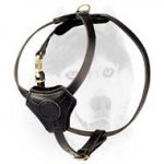 Super light weight equipment for Siberian Husky puppy with style