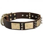 Handmade Leather Siberian Husky Collar with Brass Plates and Nickel Spikes