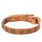 Fantastic Leather Siberian Husky Collar with Brass Studs for Walking