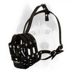 Everyday Perfect Air Ventilation Muzzle for Siberian Husky