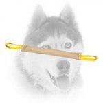 Siberian Husky Jute Bite Tug for Dog Bite Skills Improvement