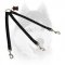 Optional Nylon Siberian Husky Leash for Walking Three Dogs