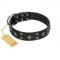 "Star Excitement" Modern FDT Artisan Black Leather Siberian Husky Collar with Studs and Stars
