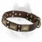 High Quality Leather Siberian Husky Collar with Brass Plates and Nickel Pyramids