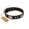 "Satin Beauts" FDT Artisan Brown Leather Siberian Husky Collar with Stars and Plates