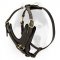 Exclusive style durable Siberian Husky harness