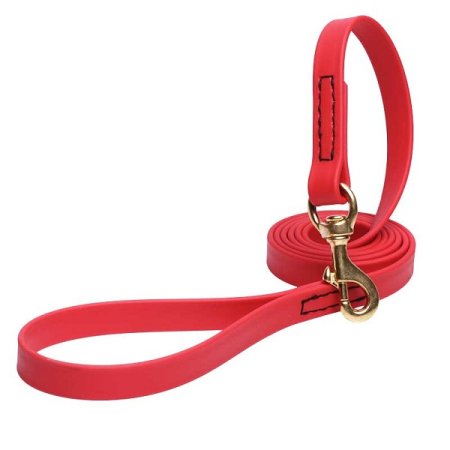 Red Waterproof Siberian Husky Leash Made of Biothane