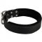 Incredible Leather Siberian Husky Collar with Inside Felt Padding