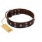 "Skull Valley" Handcrafted FDT Artisan Brown Leather Siberian Husky Collar with Skulls