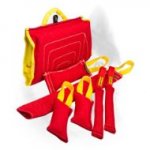 Siberian Husky Puppy Training Set for Efficient Training