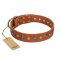 "Natural Beauty" FDT Artisan Tan Leather Siberian Husky Collar with Shining Silver-like Studs
