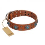 "Blue Sands" FDT Artisan Tan Leather Siberian Husky Collar with Silver-like Studs and Round Conchos with Stones