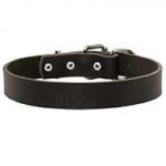 Everyday Leather Siberian Husky Collar for Daily Usage