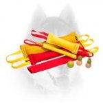 Multitask dog training set for Siberian Husky