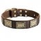 Gorgeous Leather Siberian Husky Collar with Hammered Brass Plates