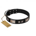 "Pitch Dark" FDT Artisan Black Leather Siberian Husky Collar with Stars and Plates