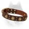 Adorable Leather Dog Collar with Brass Fittings